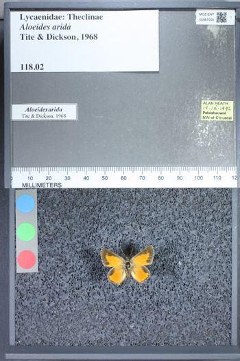 Media type: image;   Entomology 67000